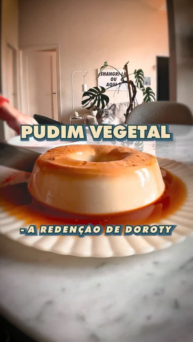 CONDENSADOS VEGETAIS — Episódio III: O Templo do Pudinzão 🍮