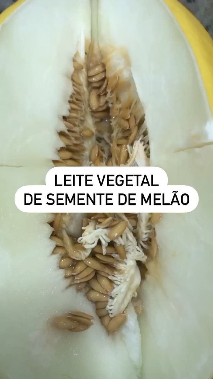 Leite Vegetal de Semente de Melão